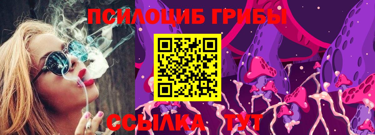 Галлюциногенные грибы Magic Shrooms  Вход с VPN  Елизово 
